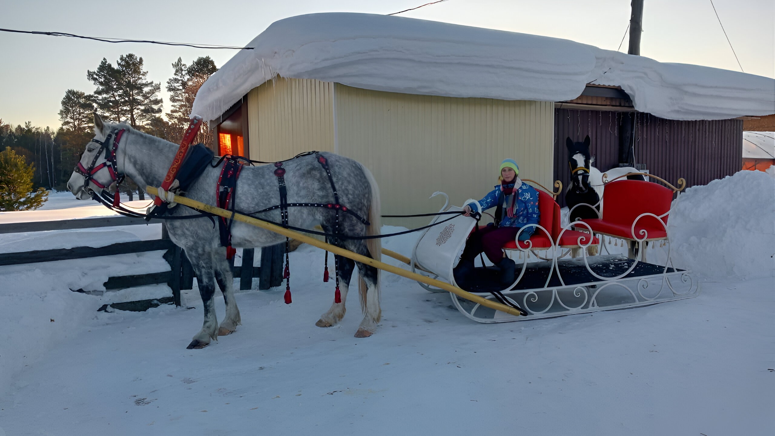 photo_2025-05-21_20-41-33