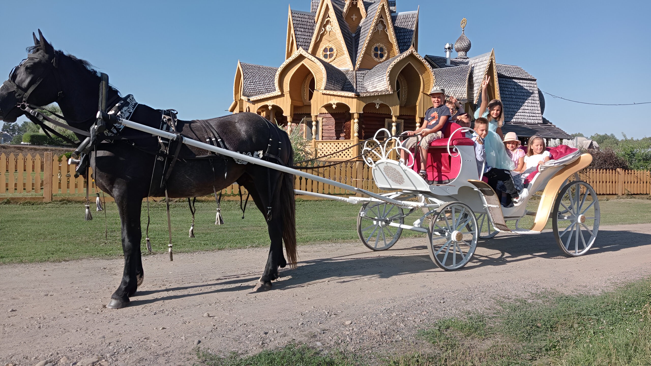 photo_2025-05-21_20-45-23