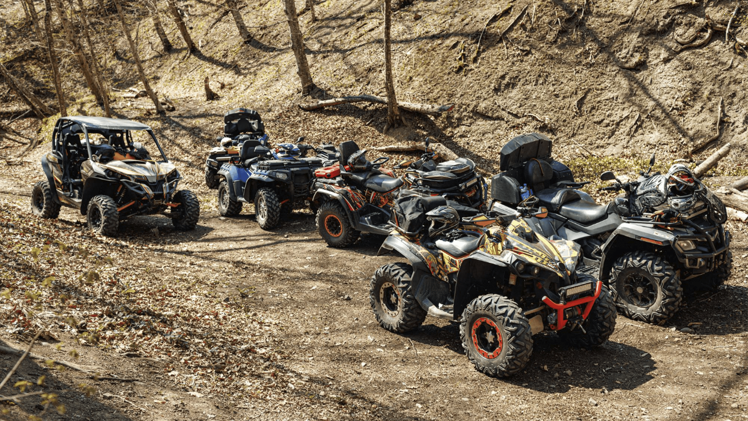 Без имени-10