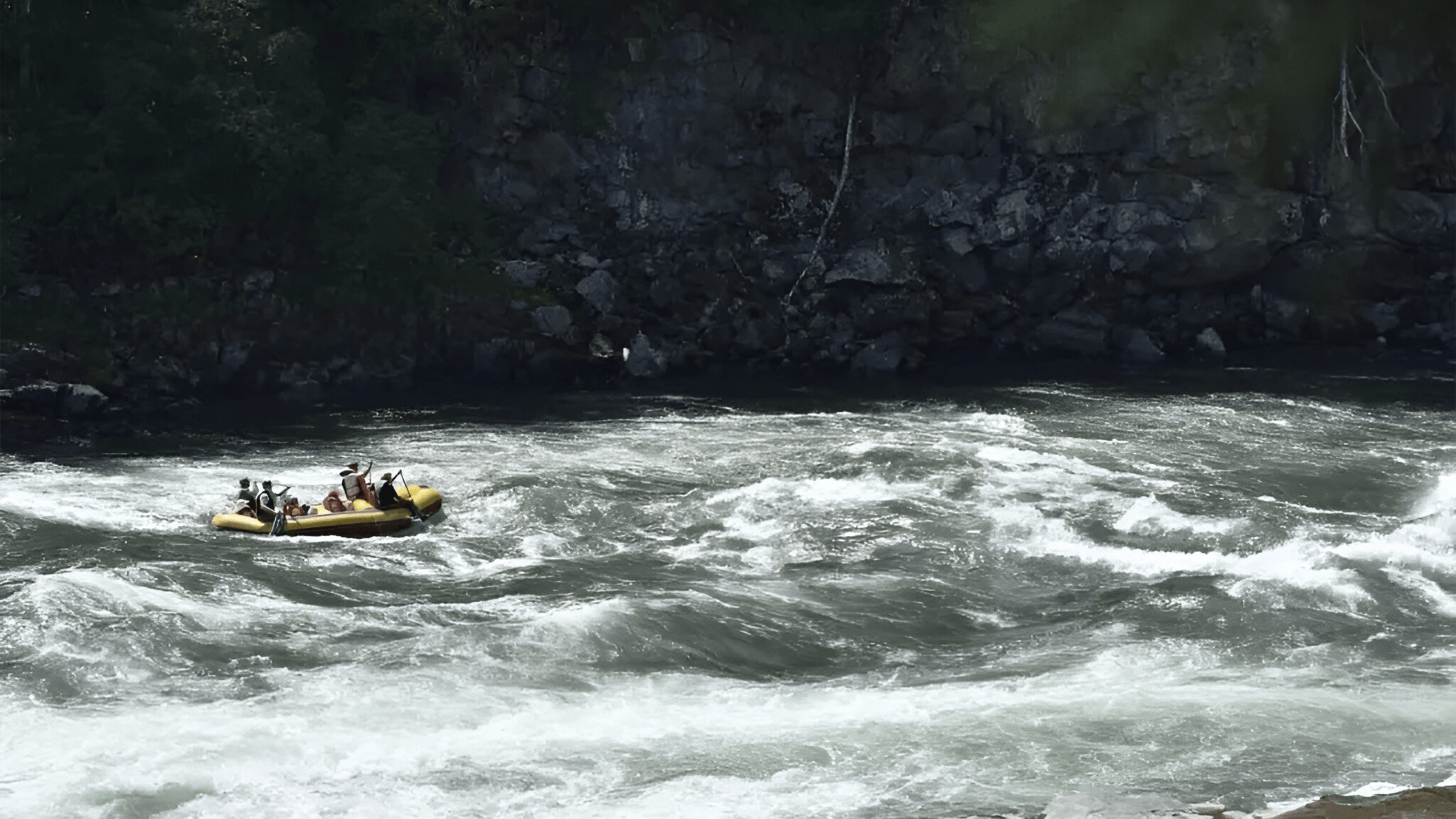 Без имени-11