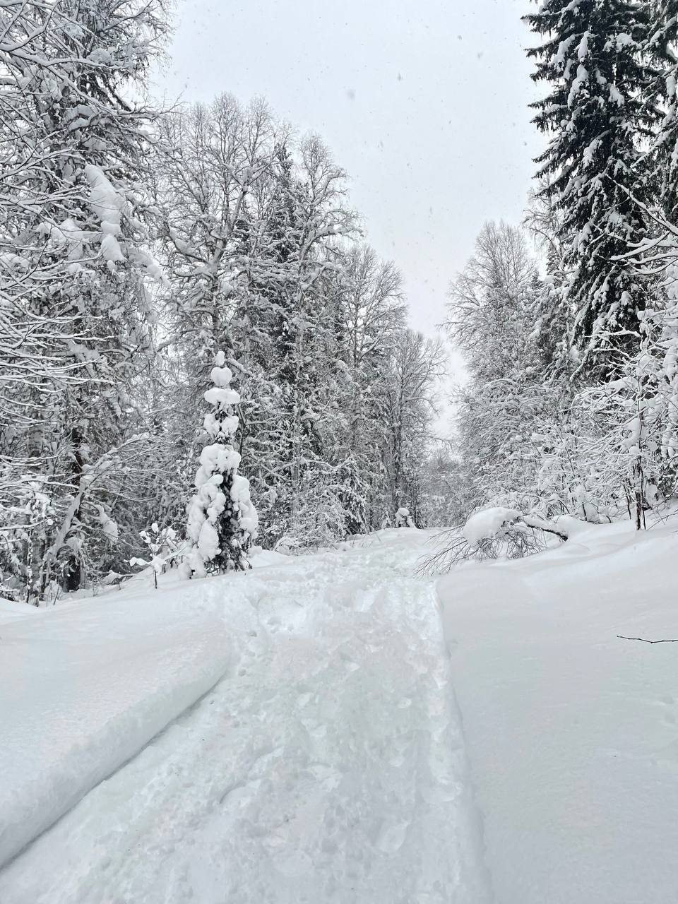 photo_2025-12-14_16-04-35